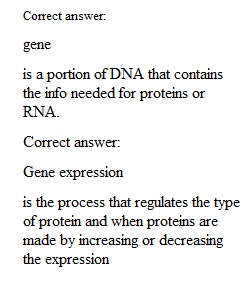 Worksheet 6.2